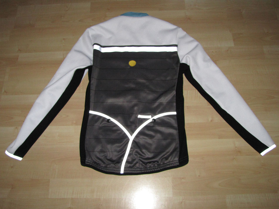 cat in jacket