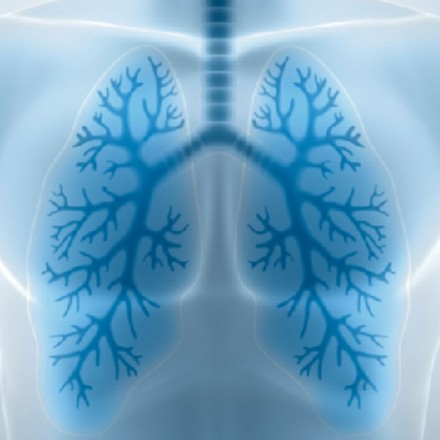 The Physiology of Pro Cyclists – Massive Lungs