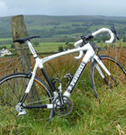 Parrotti Roubaix Bike - Click for more info