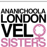VeloSisLogo