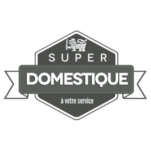 superdomestiquelogo