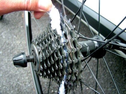 Cleaning with Purple Harry Bike Floss