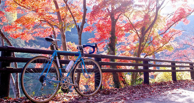 It’s Cyclocross Season – Are you ready to get down and dirty?