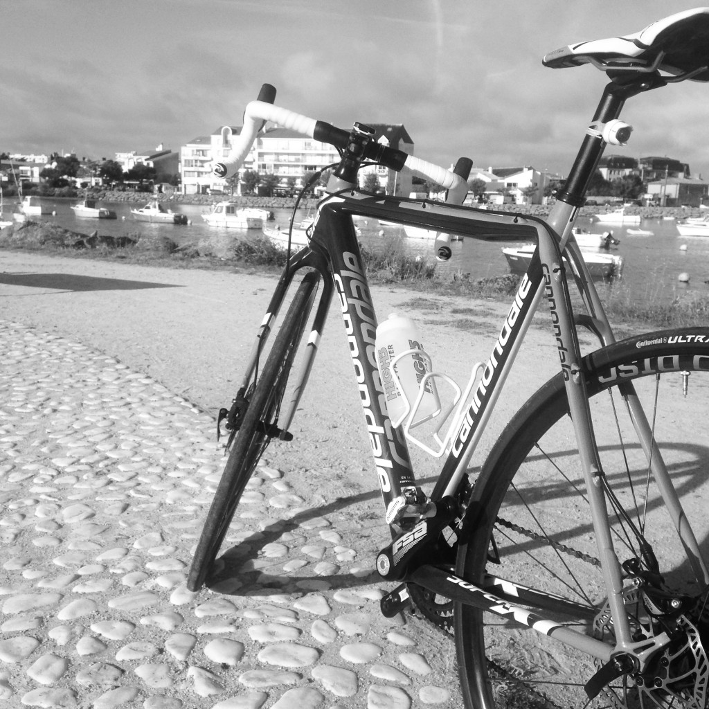 Super X St Gilles Harbour